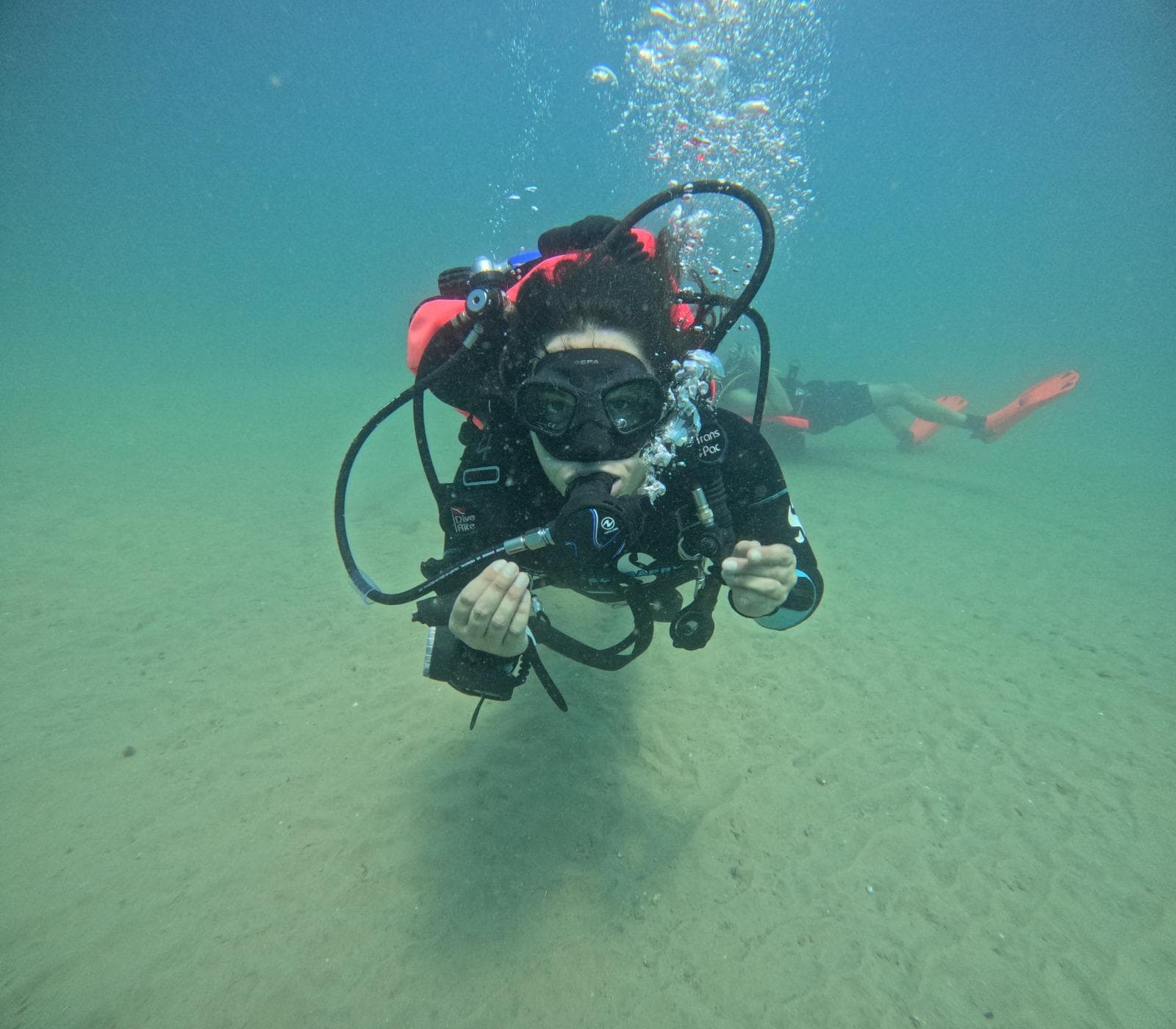 Divers collecting data